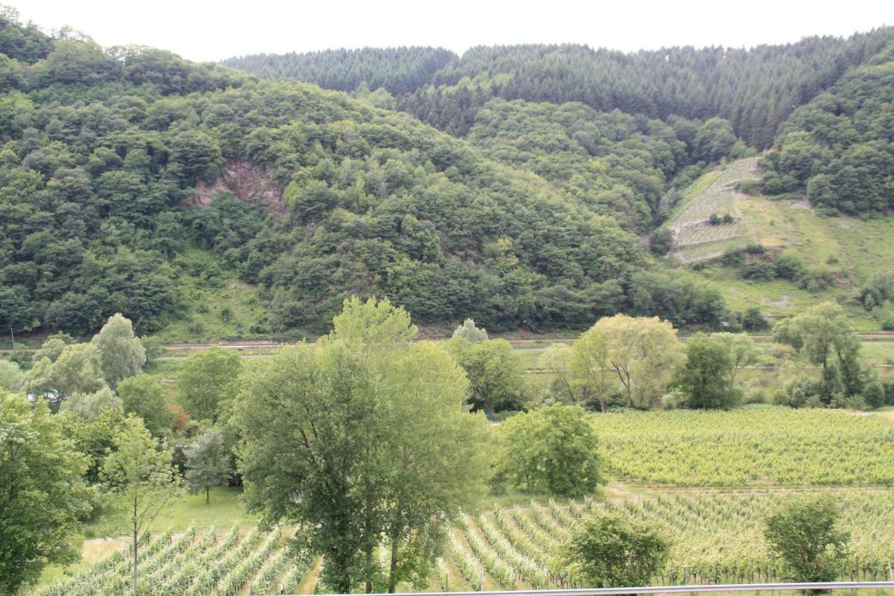 Weingut Sauer-Kettermann Villa Енкирх Екстериор снимка
