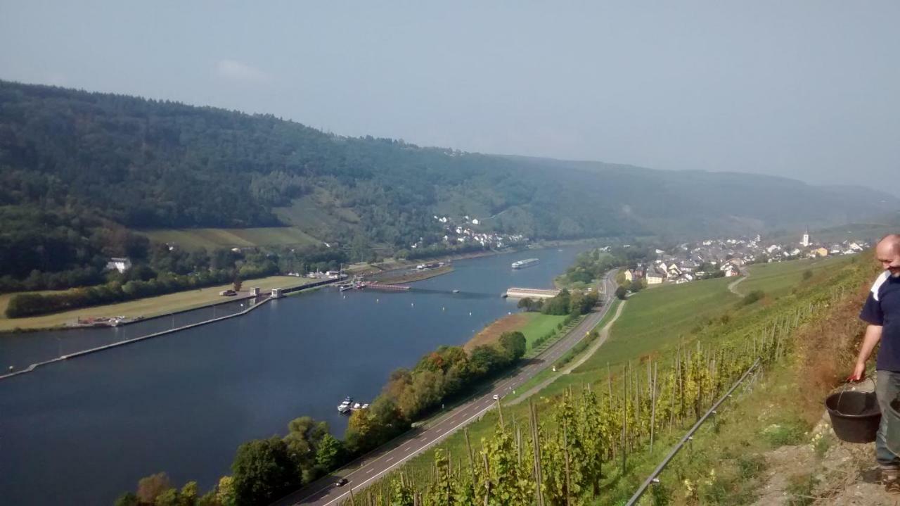 Weingut Sauer-Kettermann Villa Енкирх Екстериор снимка
