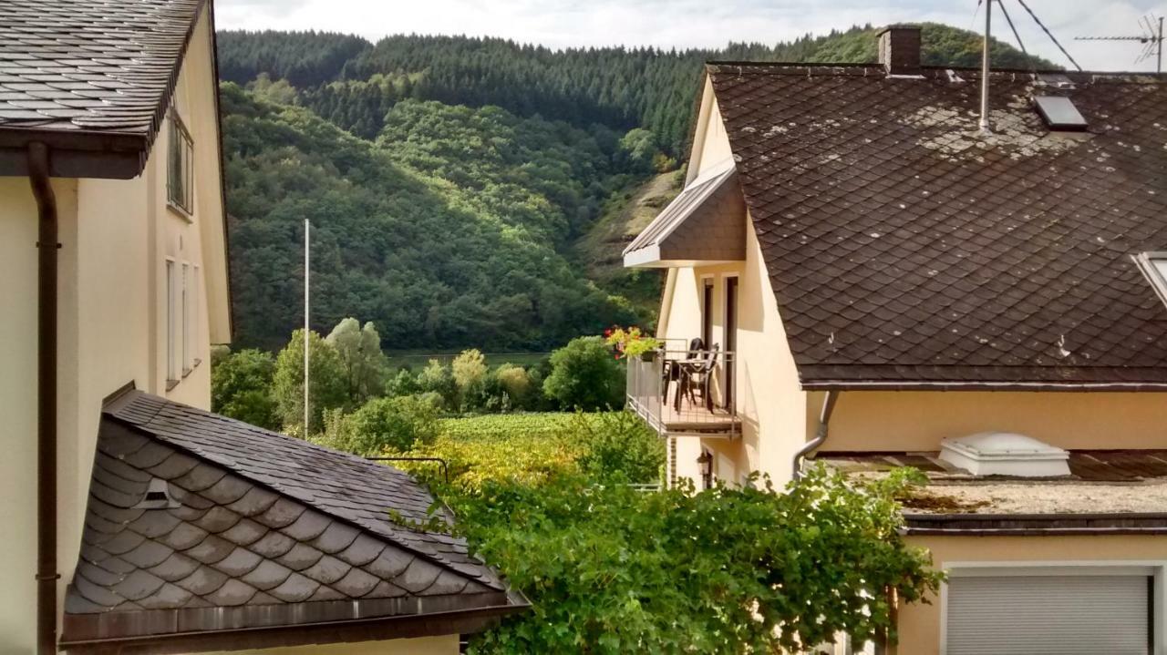 Weingut Sauer-Kettermann Villa Енкирх Екстериор снимка