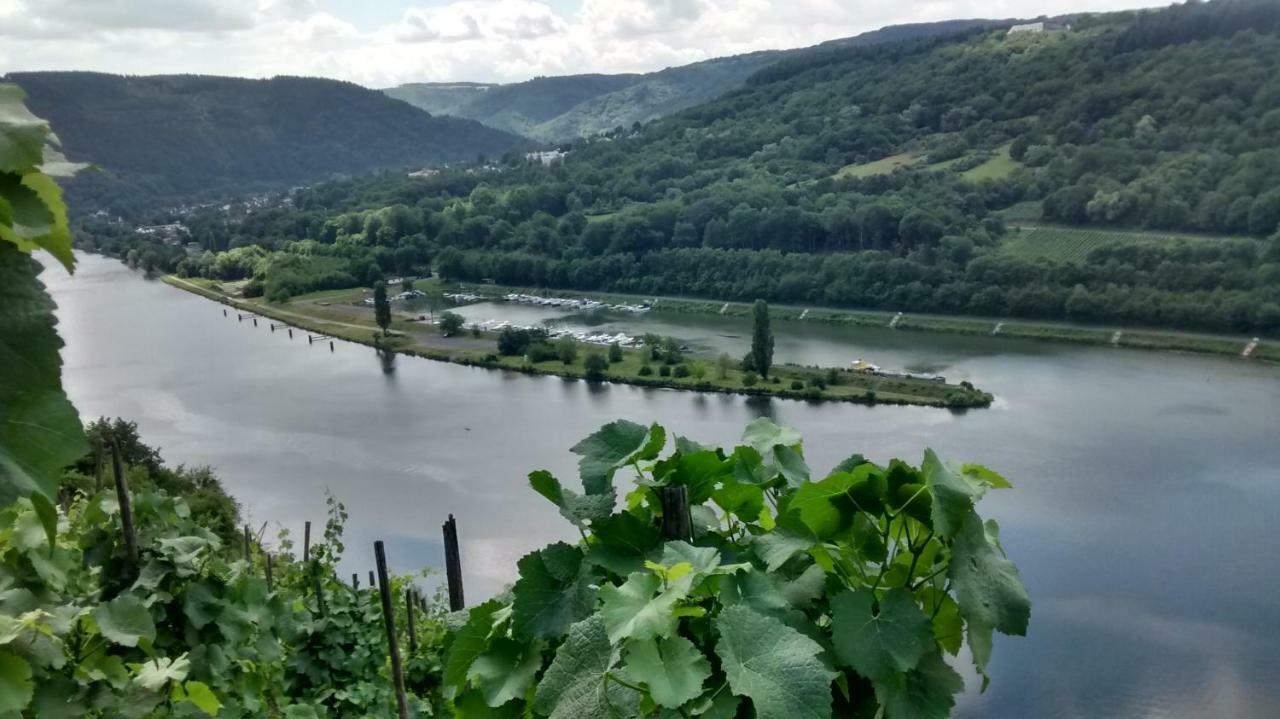 Weingut Sauer-Kettermann Villa Енкирх Екстериор снимка