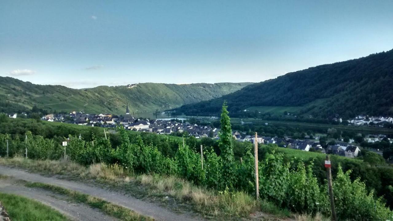 Weingut Sauer-Kettermann Villa Енкирх Екстериор снимка