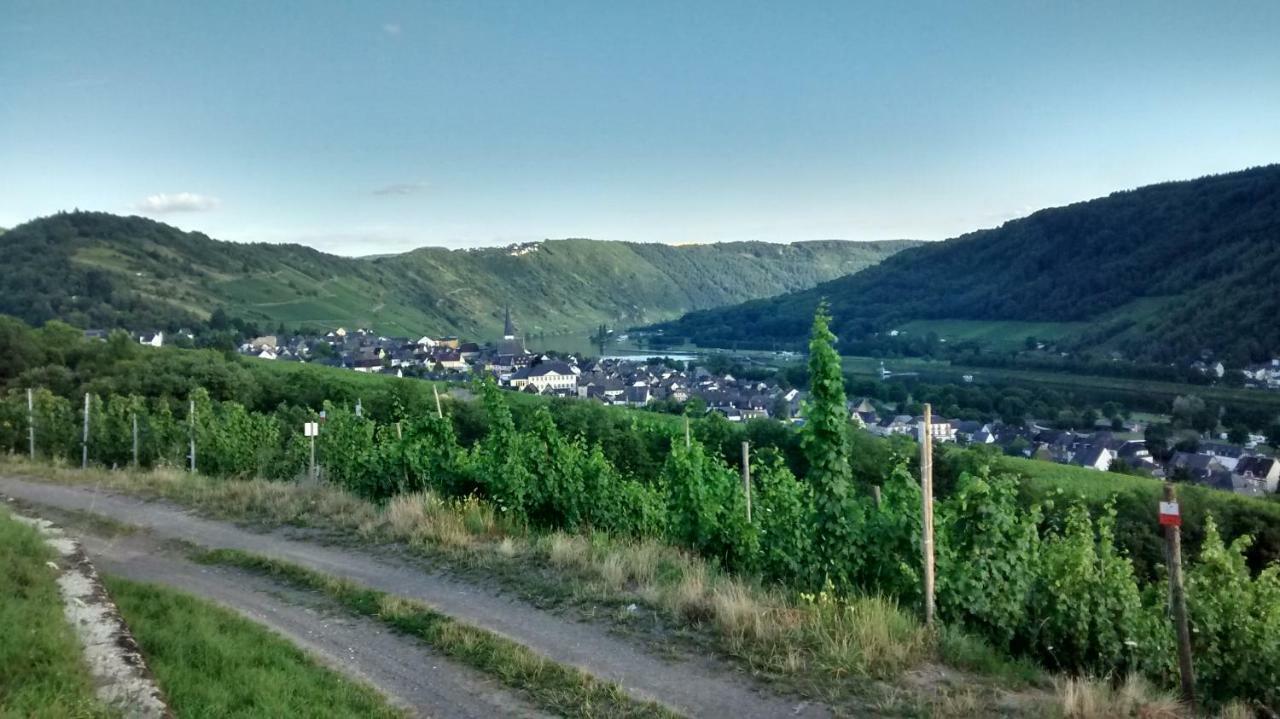Weingut Sauer-Kettermann Villa Енкирх Екстериор снимка