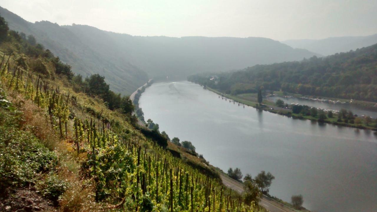 Weingut Sauer-Kettermann Villa Енкирх Екстериор снимка
